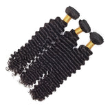 8A Brazilian Virgin Human Hair - 3 Bundles with Lace Closure - Deep Wave