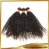 8A Malaysian Virgin Human Hair - 3 Bundles with Lace Closure - Kinky Curly