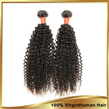 8A Malaysian Virgin Human Hair - 3 Bundles with Lace Closure - Kinky Curly